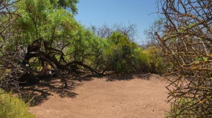 Gecko Rock Private Nature Reserve