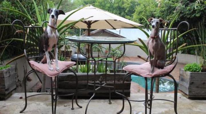 Little Forest Guesthouse, Parkhurst