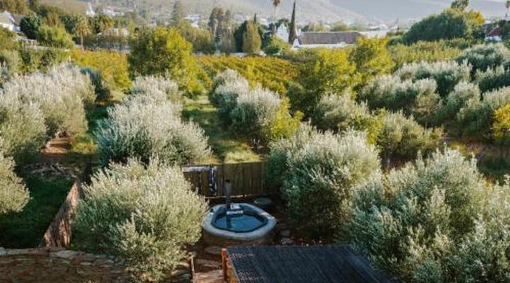 Olive Stone Farm and Cottages