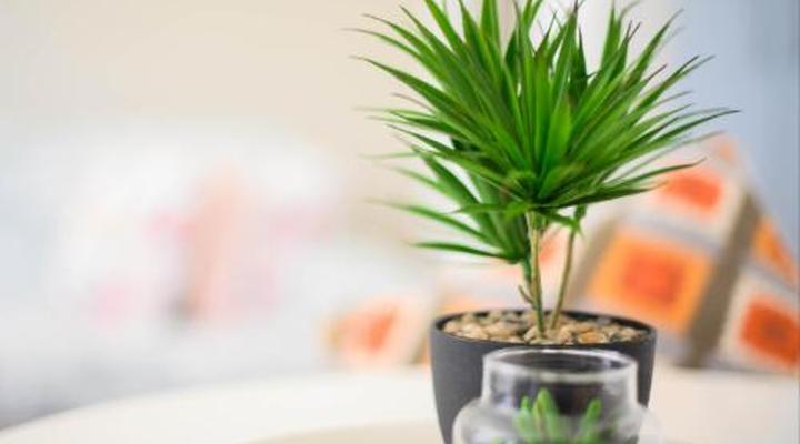 Caza Beach Guesthouse