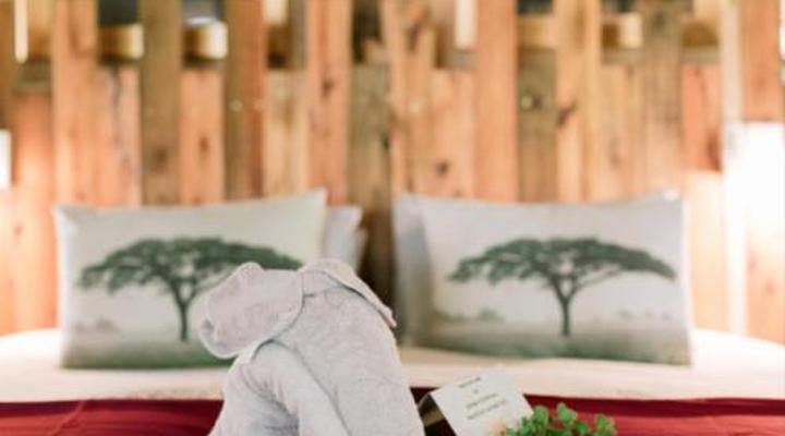 Limpokwena Nature Reserve