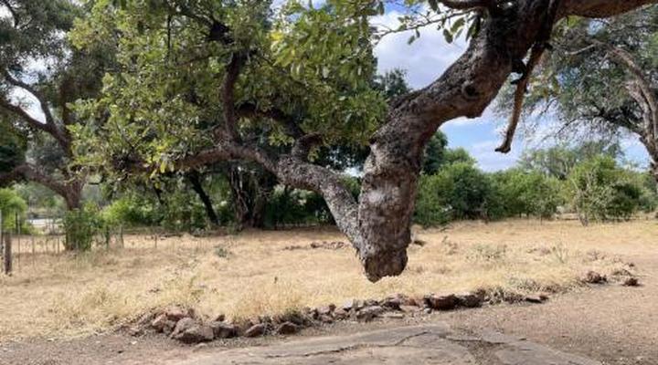 Limpokwena Nature Reserve