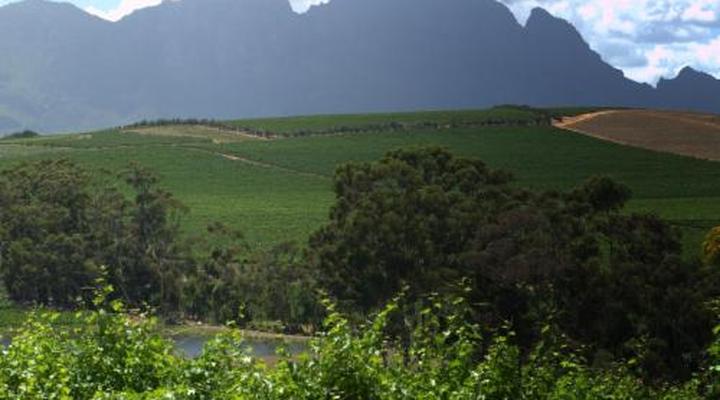 Clos Malverne Wine Estate Accommodation