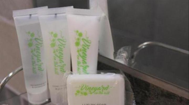 Vineyard on the Hill Guest House