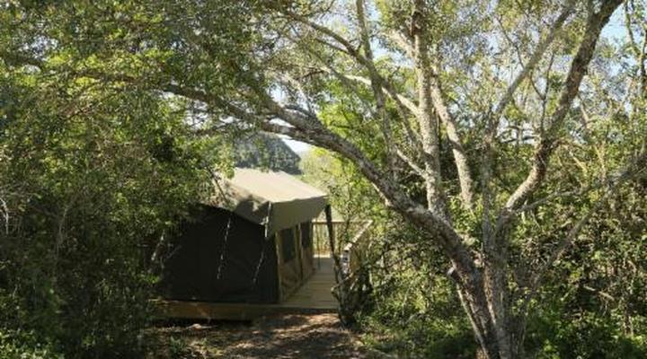 Horseshoe Game Reserve