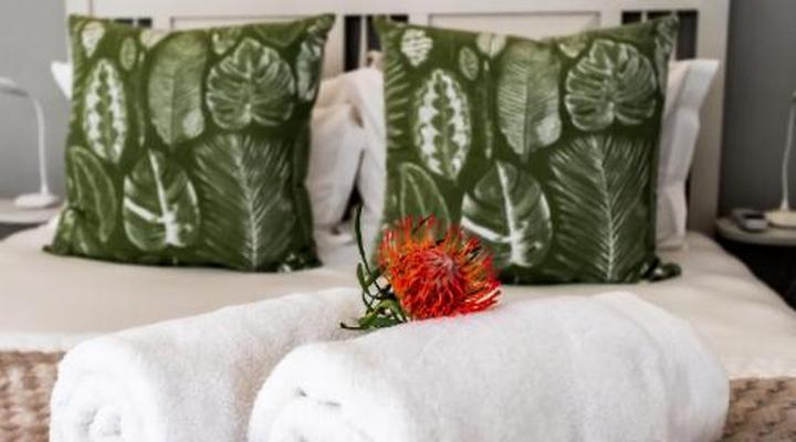 Whale Coast Ocean Villa