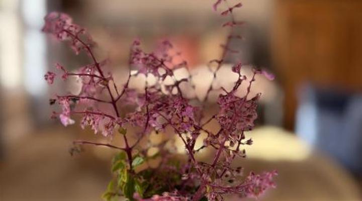 Cheverells Farm Accommodation