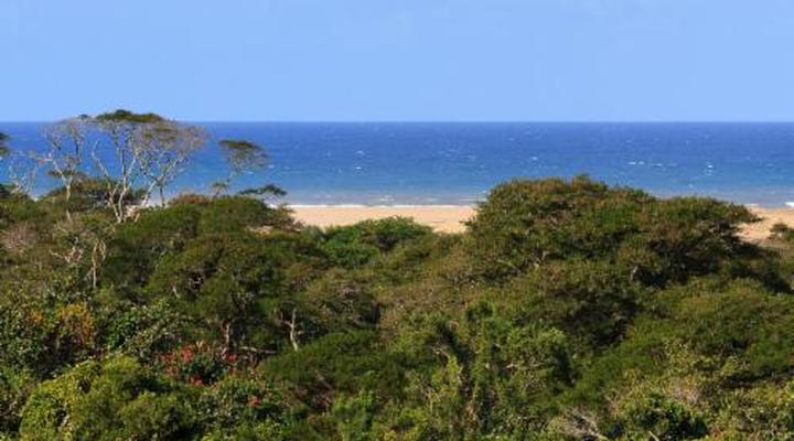 The St Lucia Eco Lodge