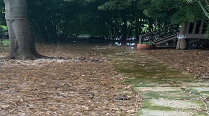 Ducks Country House and Venue