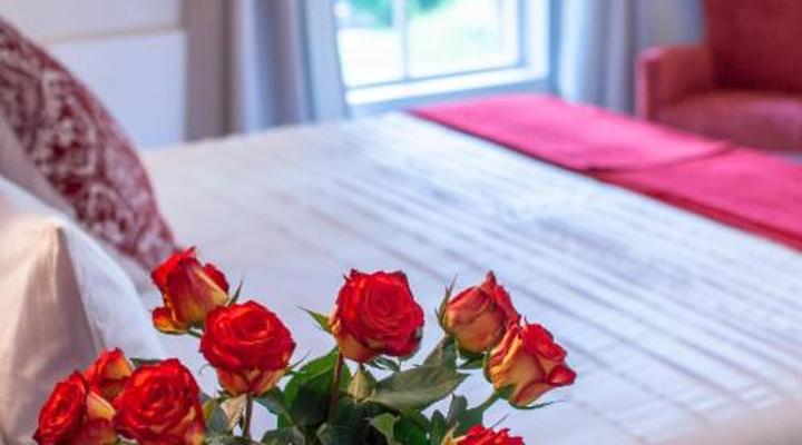 Rustic Manor Bed and Breakfast