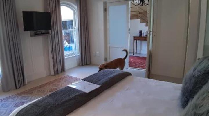 Rustic Manor Bed and Breakfast