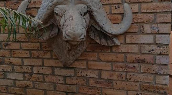 Kettle Guest Lodge Rustenburg