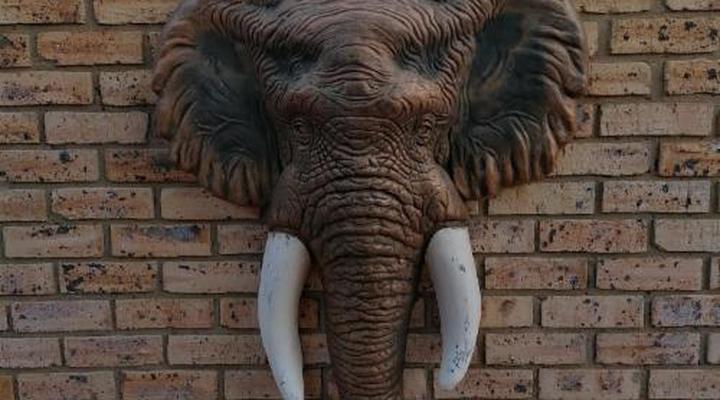 Kettle Guest Lodge Rustenburg