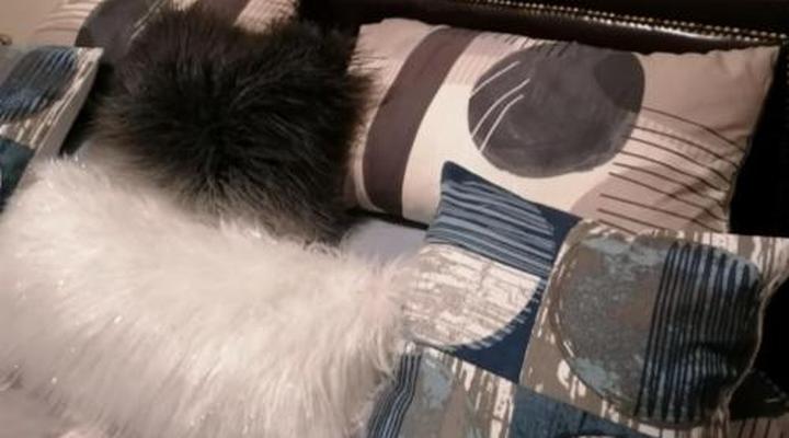 Kettle Guest Lodge Rustenburg