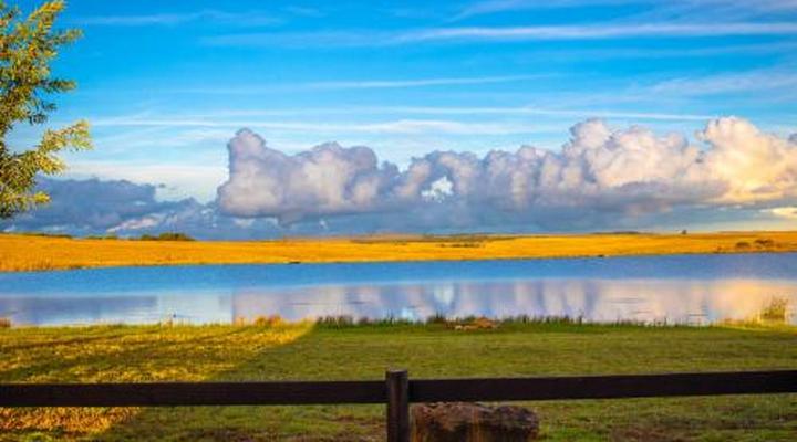 Blue Crane Farm - Trout and Wildlife Estate - Dullstroom
