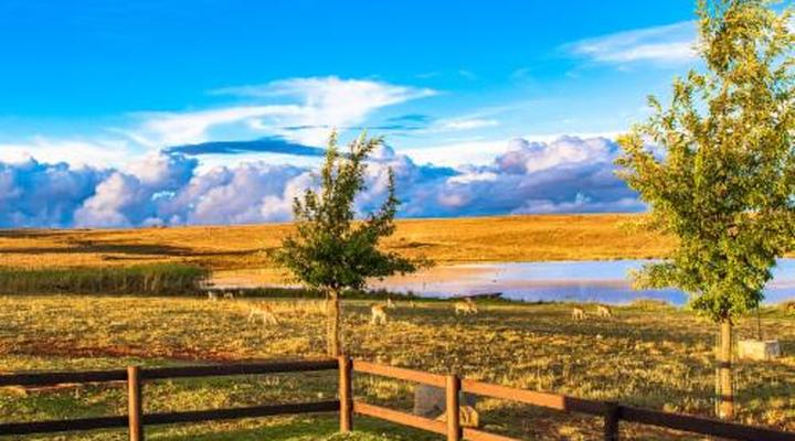 Blue Crane Farm - Trout and Wildlife Estate - Dullstroom