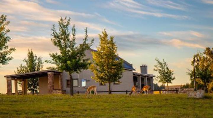 Blue Crane Farm - Trout and Wildlife Estate - Dullstroom