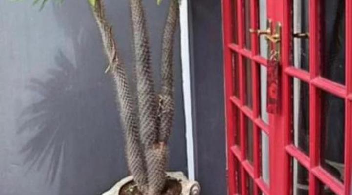 Villa Contessa Boutique Guest house