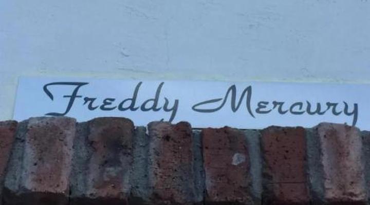 Villa Contessa Boutique Guest house