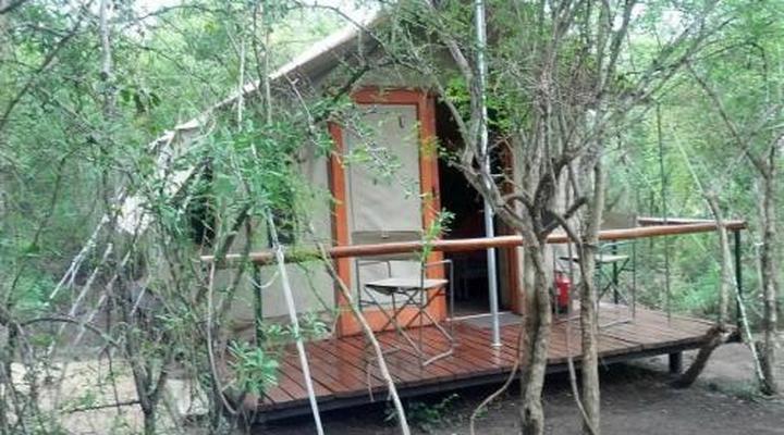  Wild Olive Tree Camp