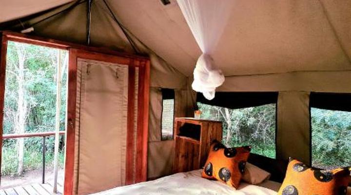  Wild Olive Tree Camp