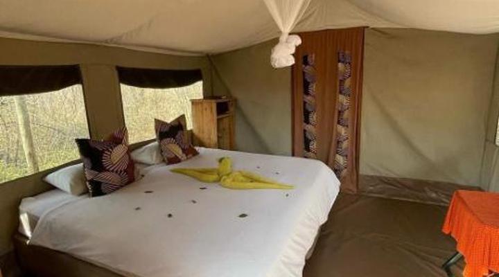  Wild Olive Tree Camp