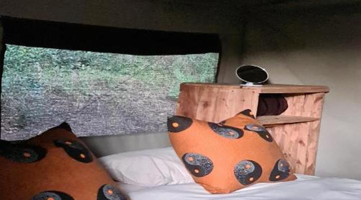  Wild Olive Tree Camp