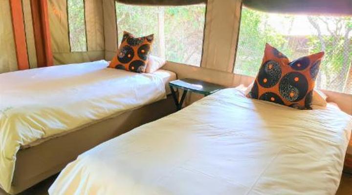  Wild Olive Tree Camp