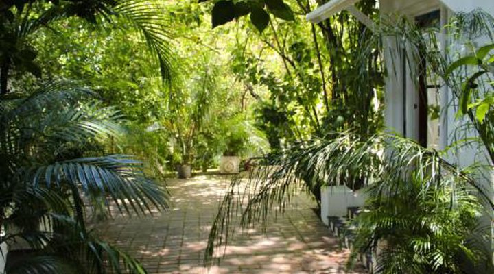 Wowhaus Tranquil Garden Apartment