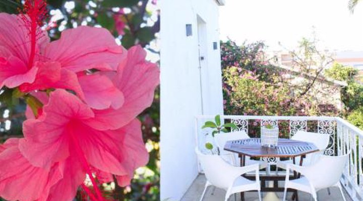 Wowhaus Tranquil Garden Apartment