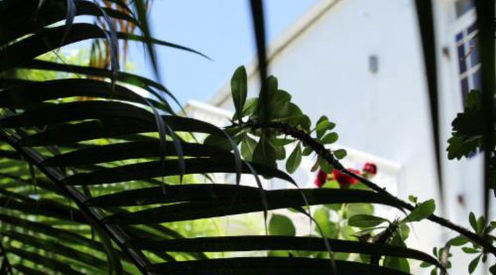 Wowhaus Tranquil Garden Apartment