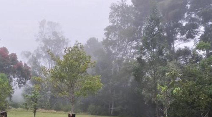 Green Hills Forest Lodge