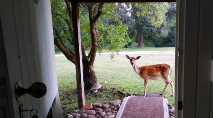 Green Hills Forest Lodge