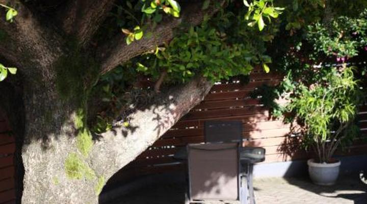 Reef View - East London