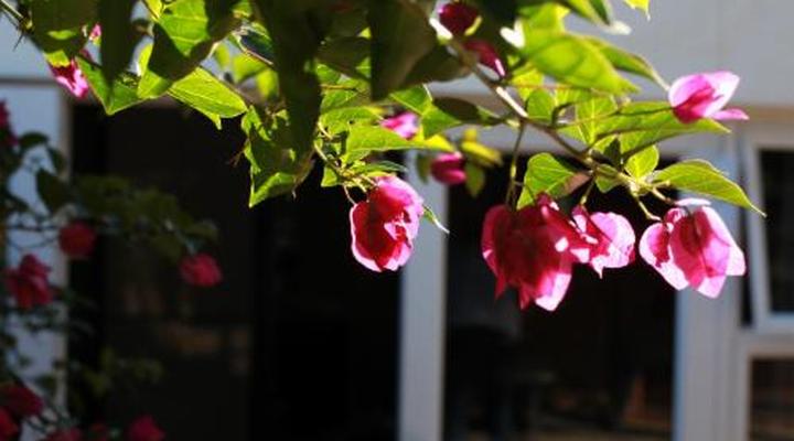 Reef View - East London