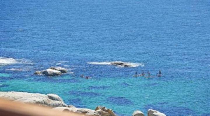 Penguins View Guesthouse