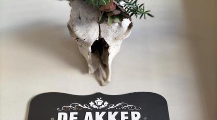 De Akker Guest House
