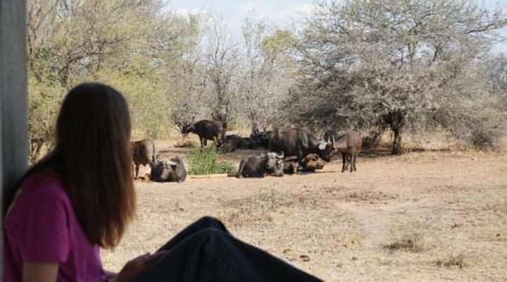 Sunset Lodge & Safaris