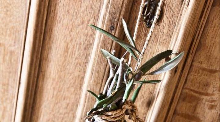 d'Olyfboom Guesthouse