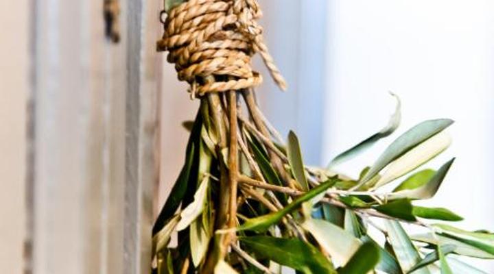 d'Olyfboom Guesthouse