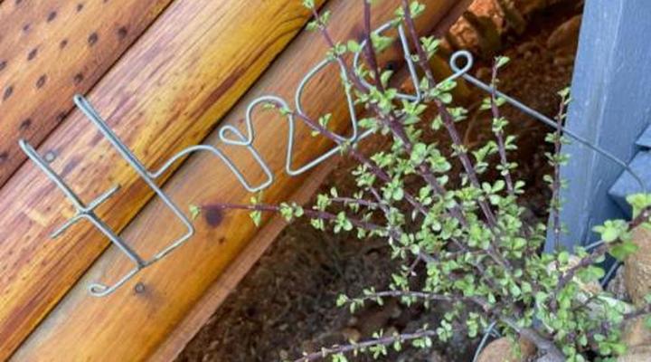 Klein Karoo Game Lodge