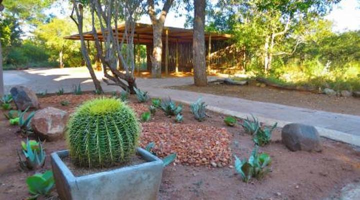 Wild Dog Guest Lodge