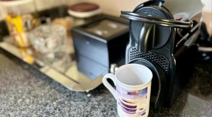 Wild Dog Guest Lodge