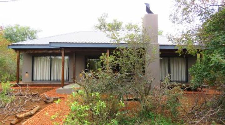 Wild Dog Guest Lodge