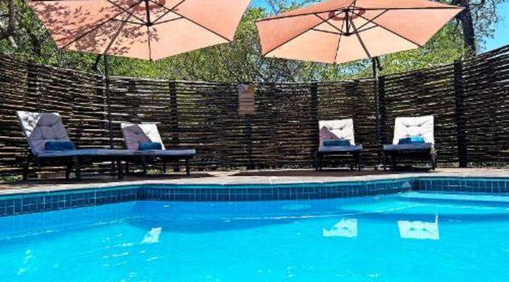 Wild Dog Guest Lodge