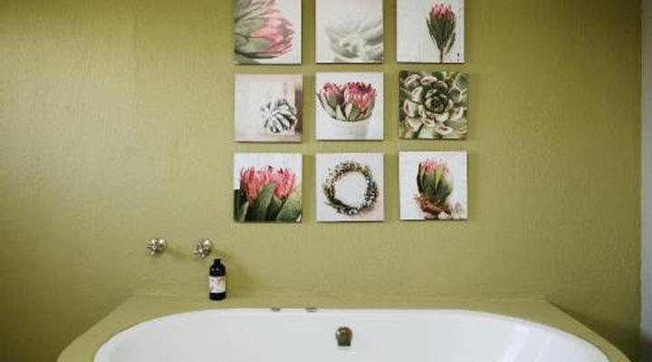 Ambers & Grace Guest Farm