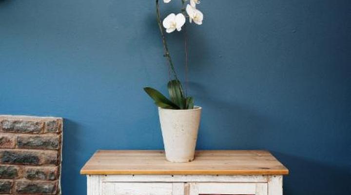 Ambers & Grace Guest Farm