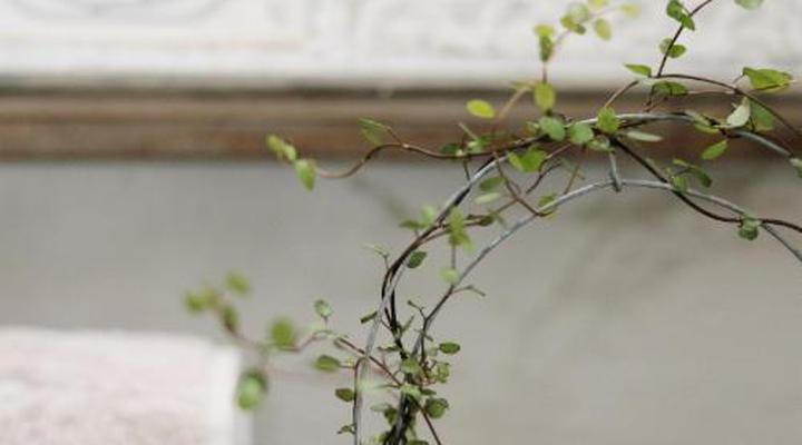 Ambers & Grace Guest Farm