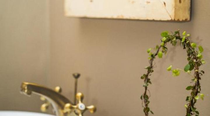 Ambers & Grace Guest Farm