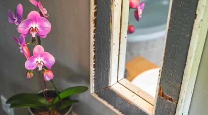 Ambers & Grace Guest Farm